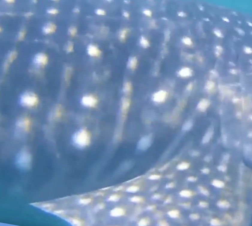 ab0229d3-a5d4-44e9-80ce-f27f9f865f3a