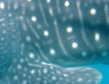 b634b657-863a-4971-b729-1caf4dfde80a