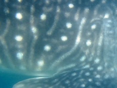 b634b657-863a-4971-b729-1caf4dfde80a