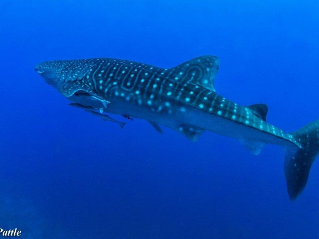 05c46928-f334-401d-9bb6-db906525d179