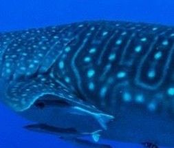 05c46928-f334-401d-9bb6-db906525d179