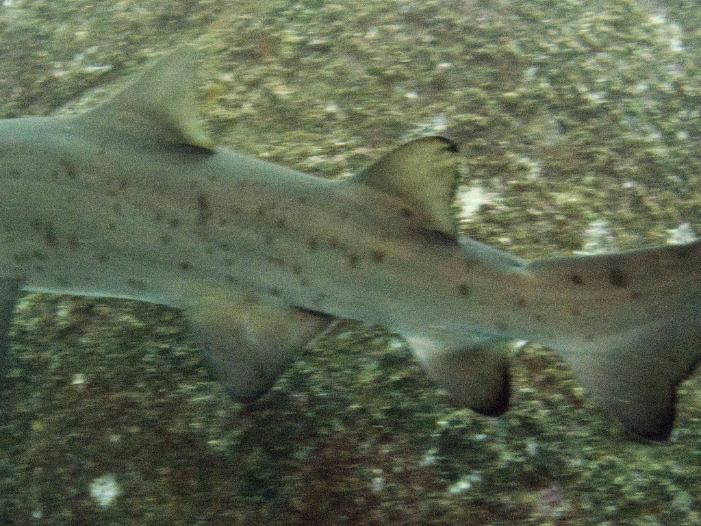 b1aa3b2f-9a74-4f79-af8c-27669424d683