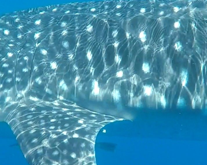 77a8cc9c-3252-4625-8dce-c9174ed45567