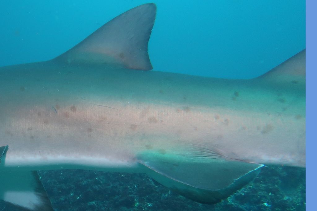 3c52461f-90b3-44f7-bda0-ecc1d3c76dd2