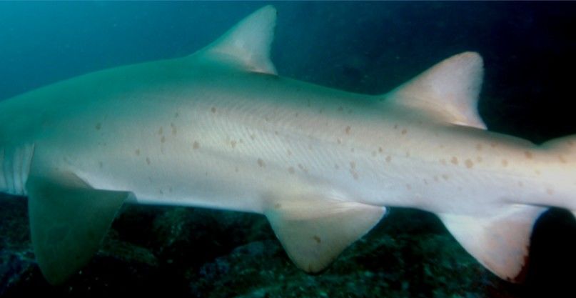 d3af1867-5644-468d-8997-a91cb29a785b