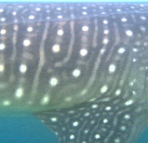 3bf44c3e-6f2c-4dde-93ac-9b43abbf970d