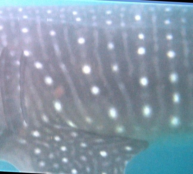 3bf44c3e-6f2c-4dde-93ac-9b43abbf970d