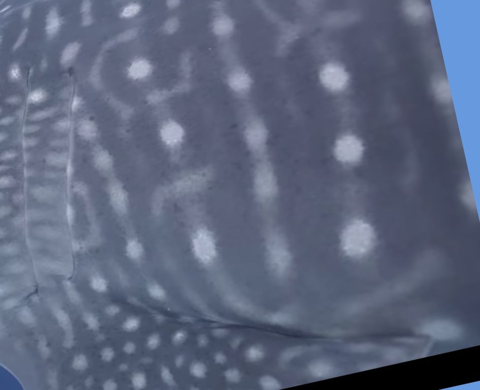 46d0774b-5f63-458b-91ca-1f4f438f74bc