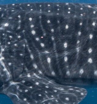 0e61075b-4489-4b72-8969-488478796f7a