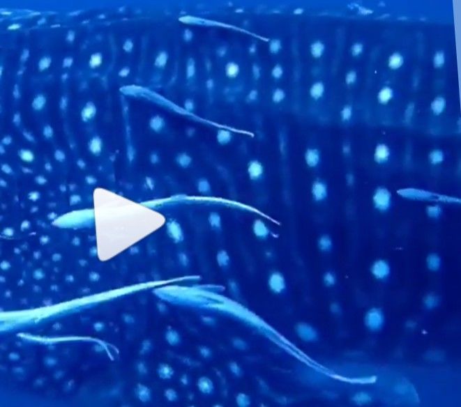 dee28ab0-f64a-4134-9585-501b760c7560