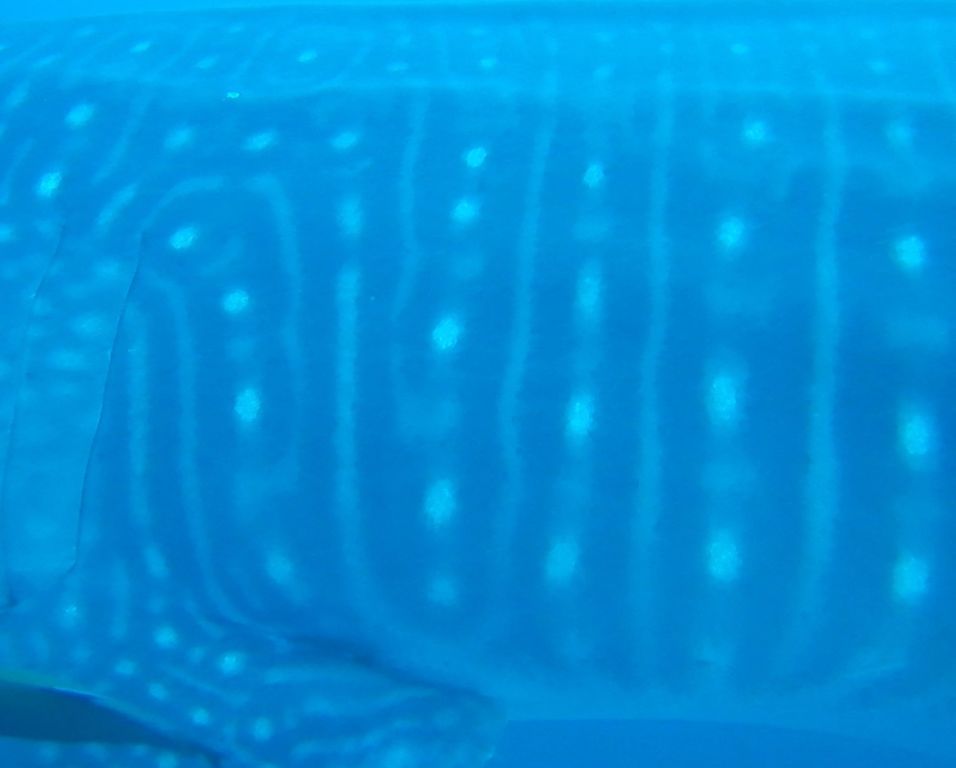 a2d08663-c61a-4740-8441-4d4d49293390