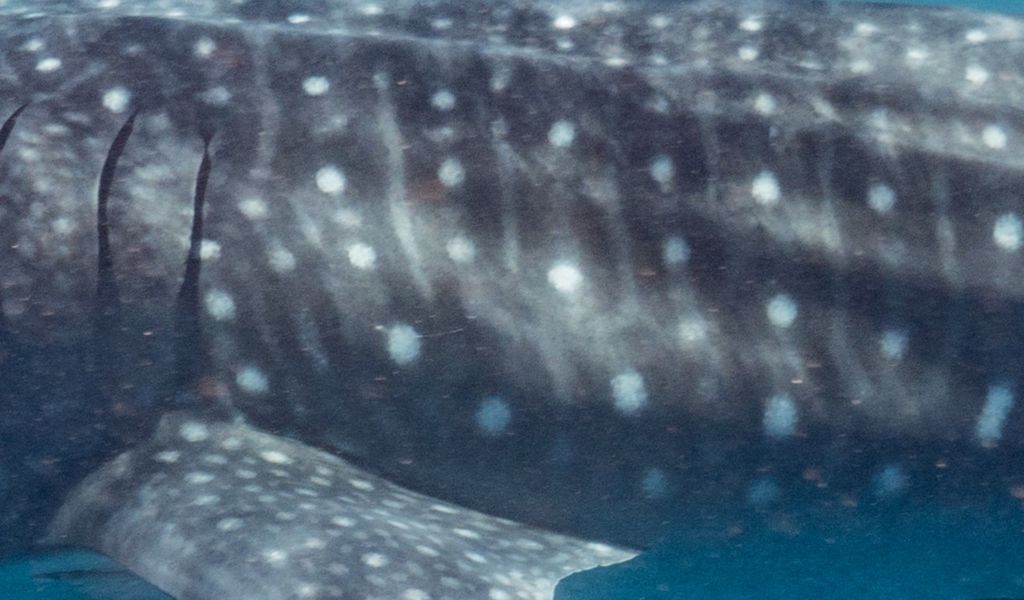 b3fbcac1-a9a9-48e3-8755-770a7f7147b5