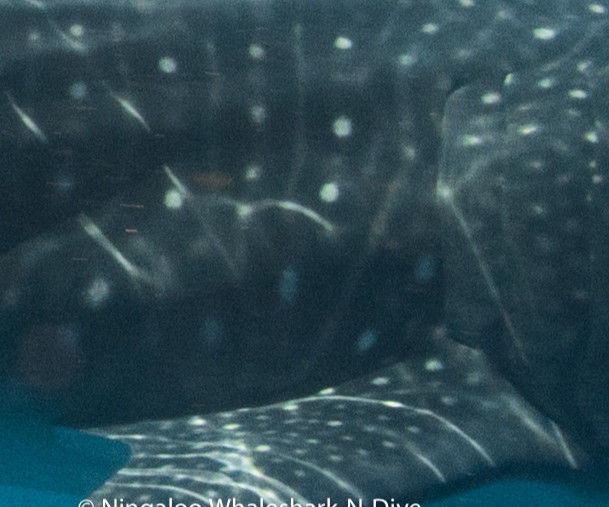 087d2650-8e89-4a25-8e2a-81c6a10a246f