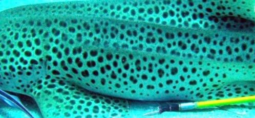 a698b5b7-31ba-4562-9325-e4661ebd1131