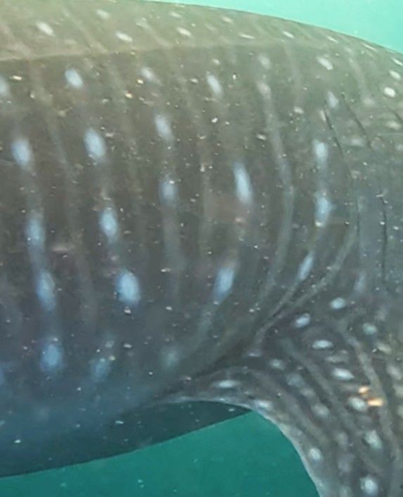 86ad932a-a857-4c0d-8720-bf7180b29f3d