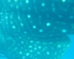 96e8c27e-a857-4fc1-b989-a8b59705ad59