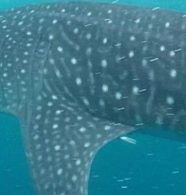 3dcde251-69bd-4d7a-8036-29a01fb51132