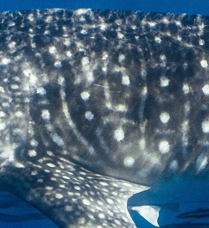 b1d4fb30-dc64-4936-93e1-c48f6ff20f86