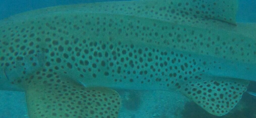 f008a890-42b2-4a73-ac53-20a14d593854