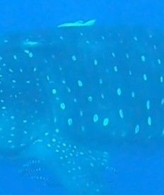 de5d7324-0e42-41a4-ae16-1a6acdacdd25