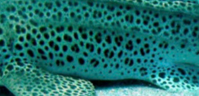 06e18980-f7f0-4b6d-9a3a-bd886e7a7ba6