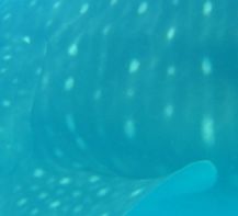 e3e850f0-f649-469a-8d4a-1a722de42fc8