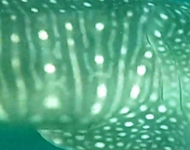 5f929311-0386-4963-a65c-8472ce6a2a3f