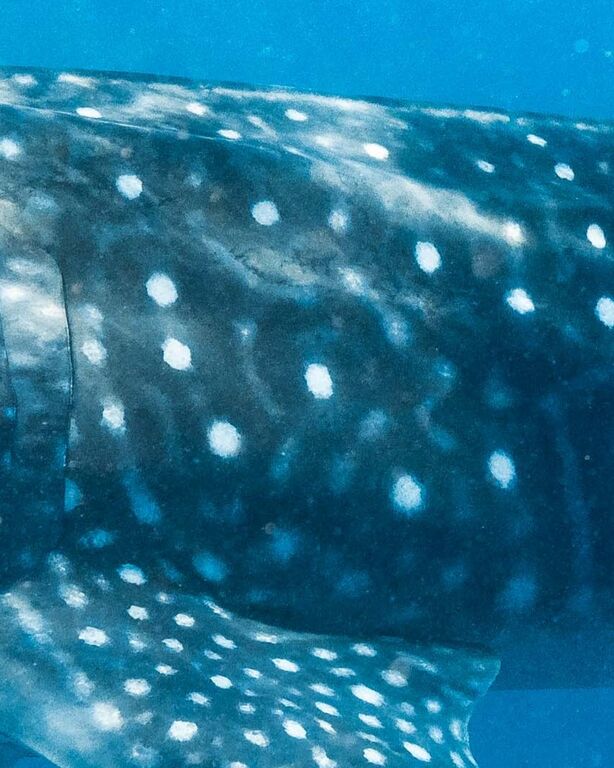 1354f61f-efc0-4fcf-ae20-6b00f677622c