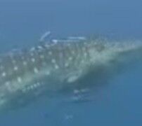 07c8e1d0-6604-41ec-b3d9-3ee8cd1785e8