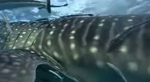 07c8e1d0-6604-41ec-b3d9-3ee8cd1785e8