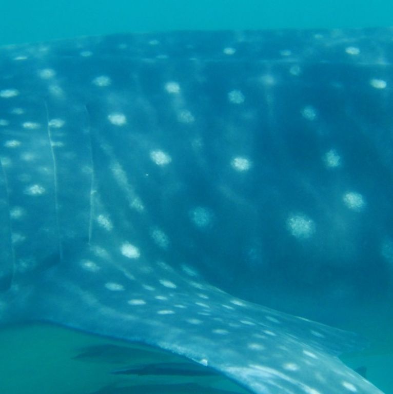 03625659-09eb-4ac3-a72f-2fb9f06c2d5e