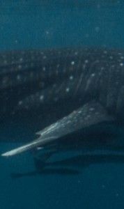 7d4322f5-3aea-49a5-b614-6ef3581ab8ac