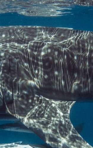 7d4322f5-3aea-49a5-b614-6ef3581ab8ac