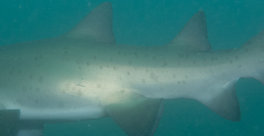 9d414684-9560-40f5-af1b-c9feeff865ae