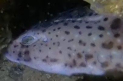 b5c09b47-6a53-4dd0-b58b-0ea96d2f8457