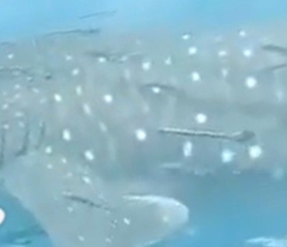 86b12e46-88bb-4bbe-922f-c1c98a1ff6a1