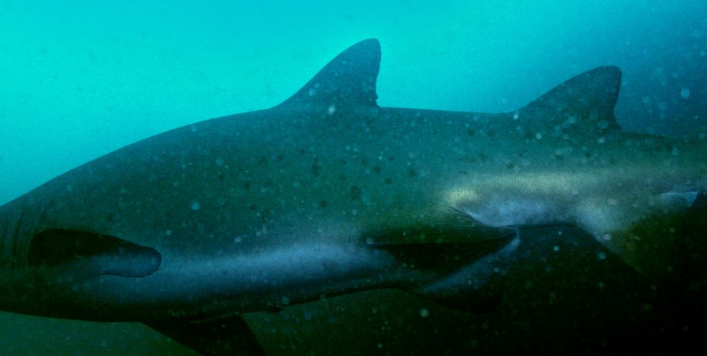 56b01f76-eb5e-4eda-865d-843d94043256