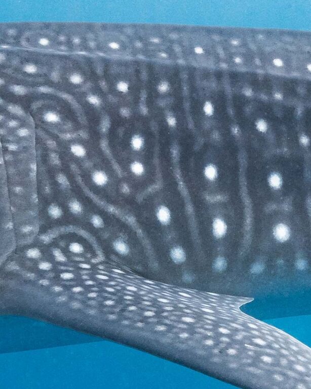 11888fbd-afdc-4706-a68f-28e5d2d8a575