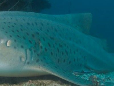 7d33f71c-8a22-453b-b54c-e34a3ad871a1