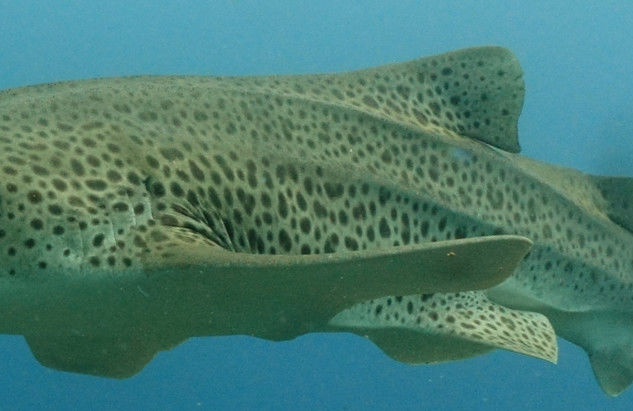 c2ca79fb-1eda-4564-9fc8-e95ecaa9609b