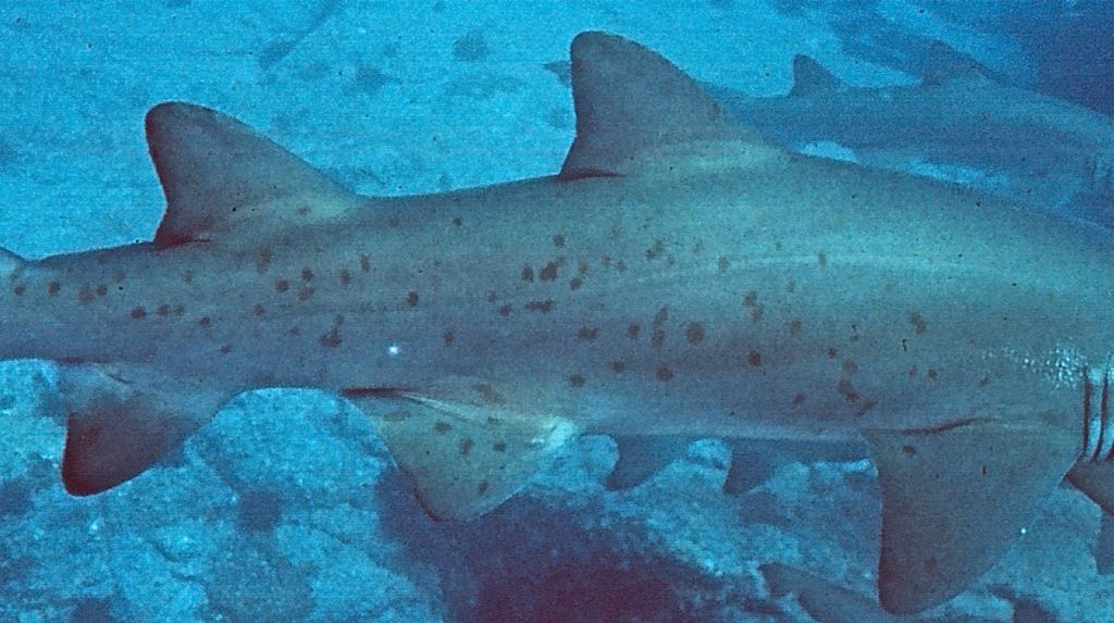 8e5f244c-423d-4d27-bb2a-e8fc3a5da5b1