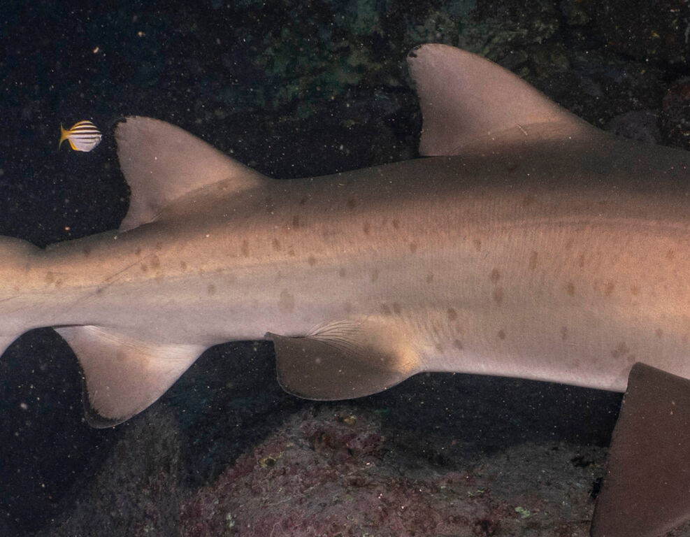 948c749f-10a3-4759-9481-b15da4e68670