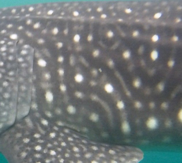 0dd983f5-a1b9-4222-929f-7b48c9355eb5