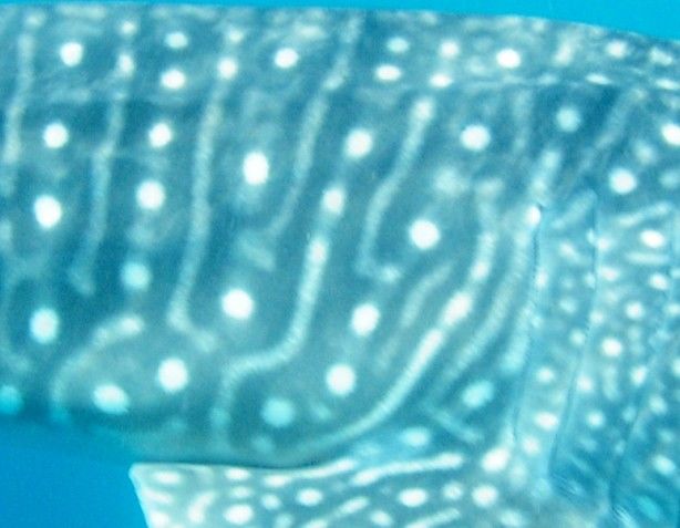 af29cefc-cb5d-47f1-8142-546fde1008bc