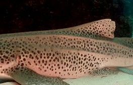 edbf7458-f1c6-424f-a2e9-d15ef91d76bd