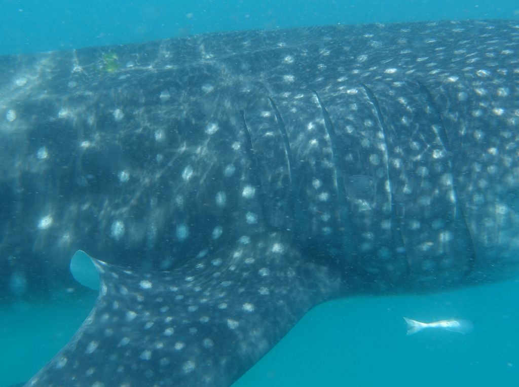 83ab8e3e-141e-461a-80d9-1c6b5503d291