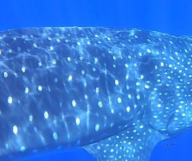 e17e34f1-e1c5-42ef-8479-a6f26fa243d1