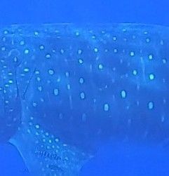 e17e34f1-e1c5-42ef-8479-a6f26fa243d1