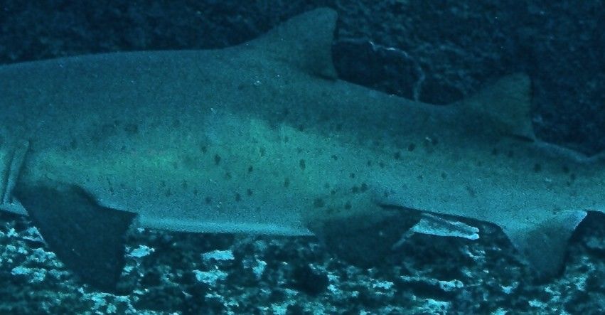 1ea2810f-5498-4505-a51c-17cf69540820