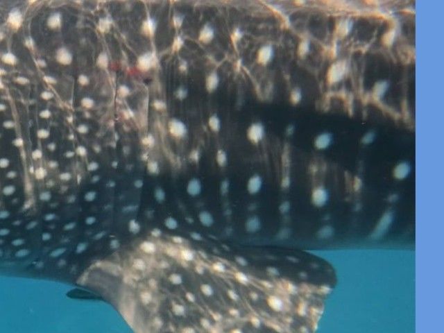 f92262bd-e870-4d01-875d-d3832b3601cc